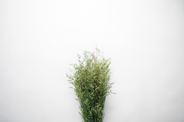 Foto gratuita colpo ambientale di un mazzo di ramoscelli della pianta su una superficie bianca
