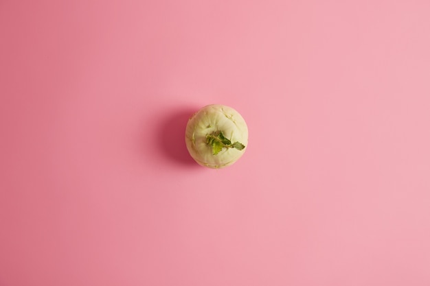 Overhead shot of ripe white radish harvested from garden, isolated over pink background. Popular vegetables with healthy benefits, safe to eat, low in calories. Agriculture, nutrition concept