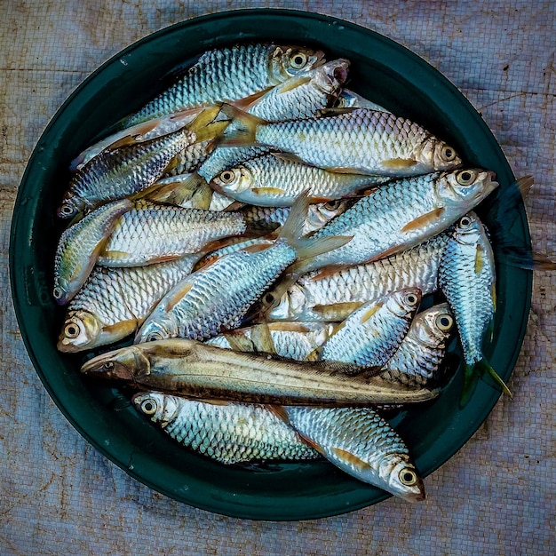 Free photo overhead shot of sardines placed on a dark green plate