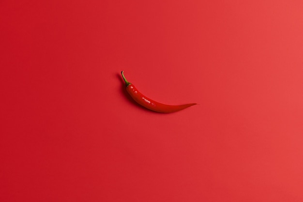 Overhead shot of single red chili pepper of long shape can be added as flavoring in cooking. Preparing dish flavoured with chilli. Selective focus. Fresh vegetable collected from home garden