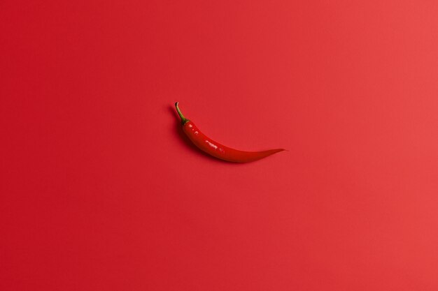 Overhead shot of single red chili pepper of long shape can be added as flavoring in cooking. Preparing dish flavoured with chilli. Selective focus. Fresh vegetable collected from home garden