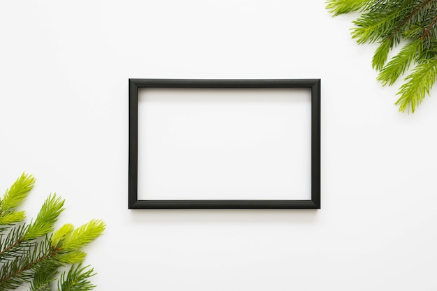 Overhead view of black border frame and green fir isolated on white background