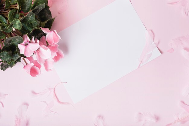 Вид сверху пустой бумаги с розовыми цветами против цветного фона