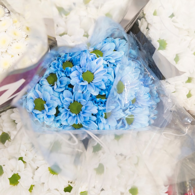 An overhead view of blue chamomile bouquet surrounded with white flower