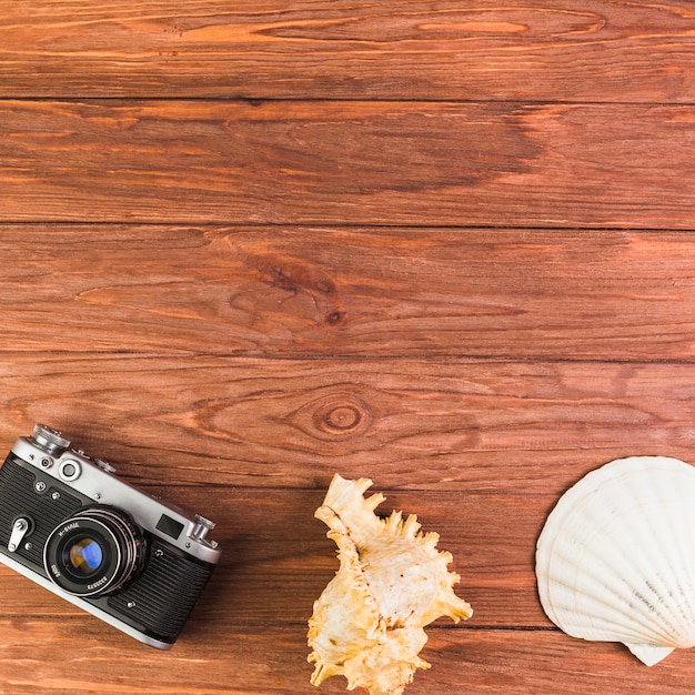 Overhead view of camera and seashell on wooden table