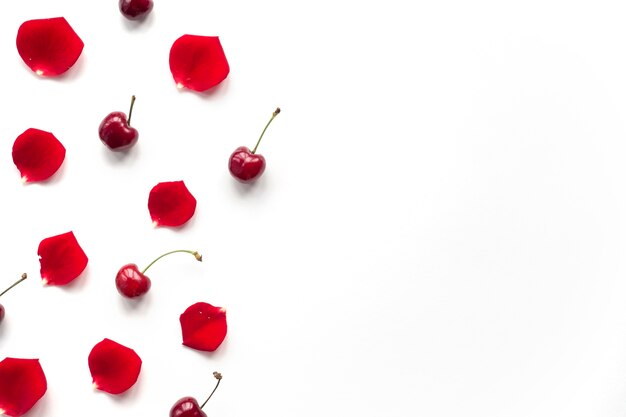 Overhead view of cherry and rose petals over white background