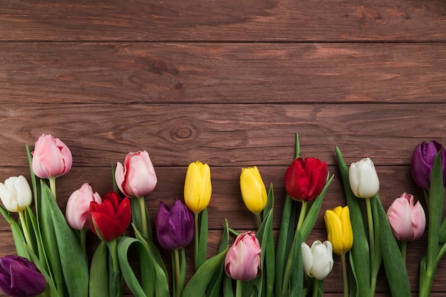 An overhead view of colorful tulips on wooden plant surface backdrop