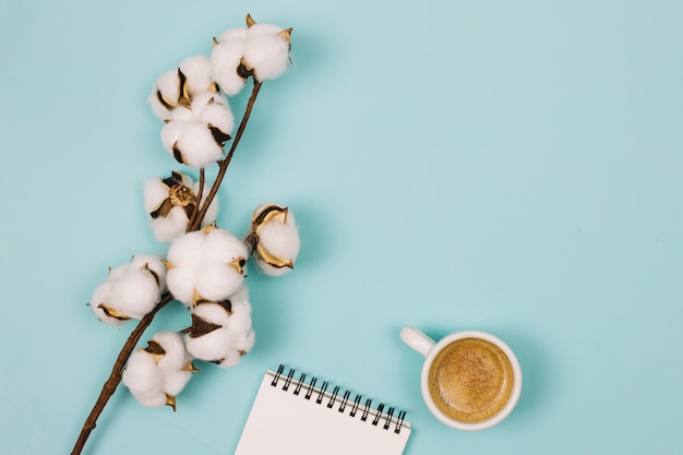 An overhead view of cotton flower; spiral notepad and coffee cup on blue background