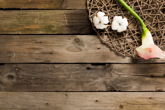 Overhead view of cotton with flower on wooden table