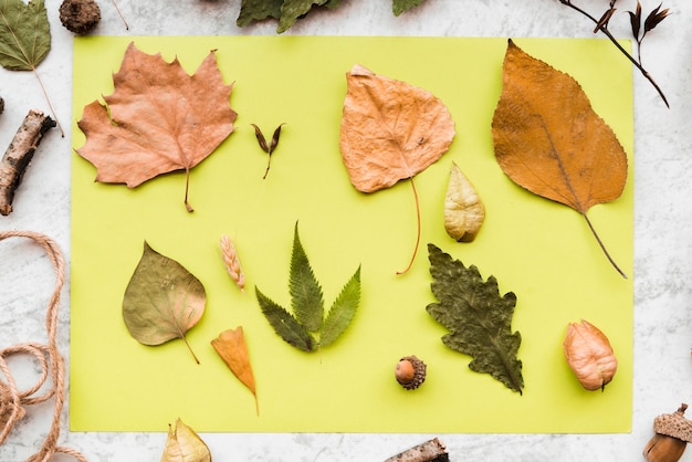 An overhead view of dried autumn leaves and acorn on green mint paper on textured backdrop