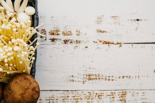 Overhead view of edible mushrooms on white plank