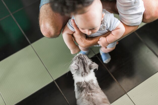 An overhead view of father holding his baby in front of cat