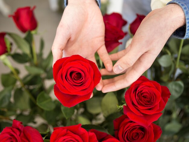 An overhead view of florist touching the red flower