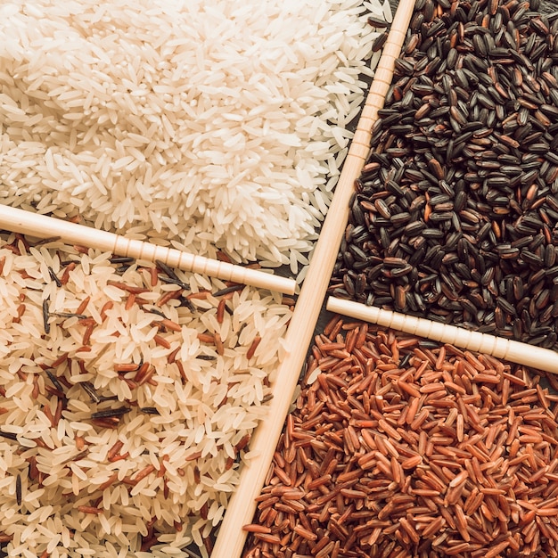 Overhead view of four different types of organic rice grains