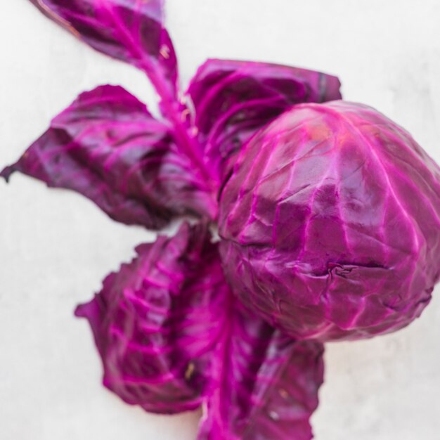 An overhead view of fresh organic red cabbage