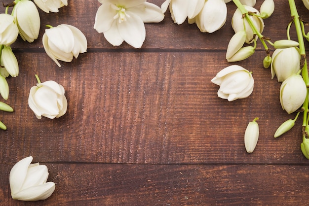 An overhead view of fresh white flowers on wooden desk