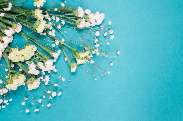 An overhead view of fresh white limonium and gypsophila flowers on blue background