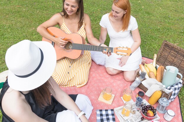 An overhead view of friends enjoying in the outdoor picnic