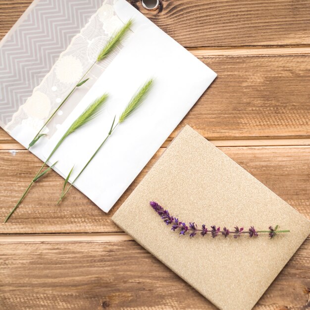 Overhead view of green ears of wheat on greeting card and lavender twig on table