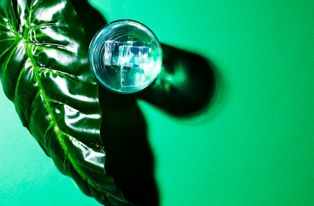 An overhead view of green leaf and glass with ice cubes on green background