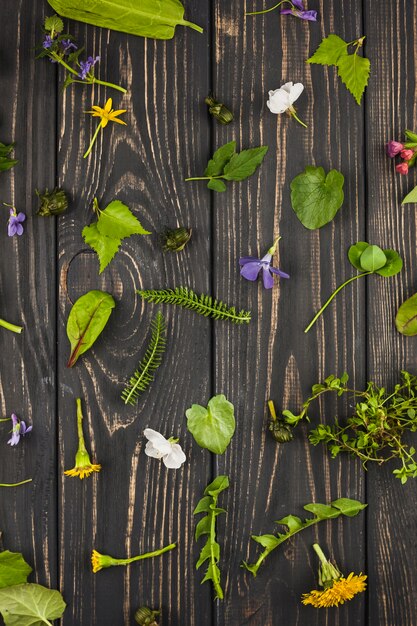 An overhead view of green leaves and different flowers on wooden table