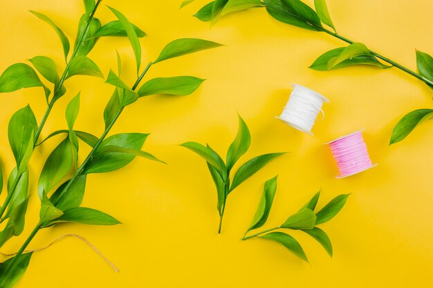 An overhead view of green leaves twig with white and pink thread spools on yellow backdrop