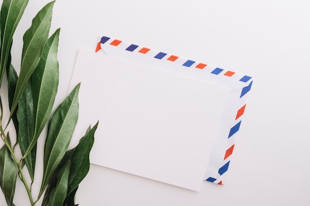 An overhead view of green leaves with three envelopes on white background