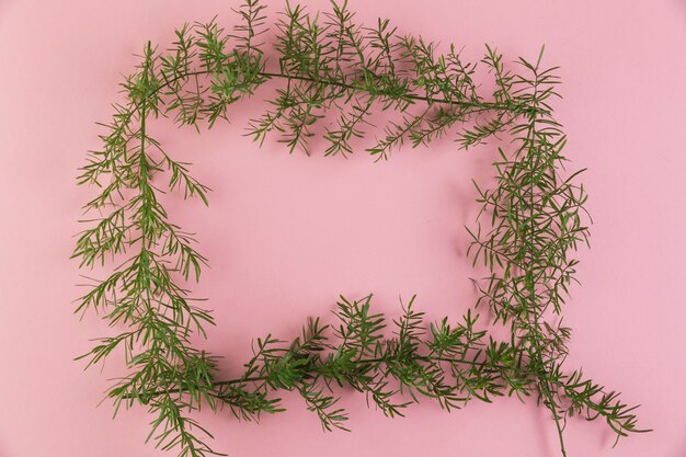 An overhead view of green twig border frame against pink background