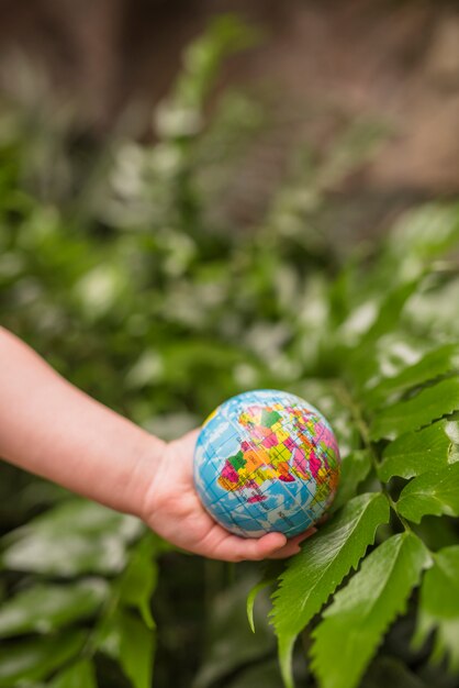 Вид сверху рука держит глобус мяч над зеленым растением