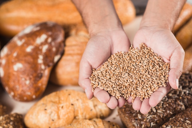 Overhead view of hands holding wheat grains over the baked bread