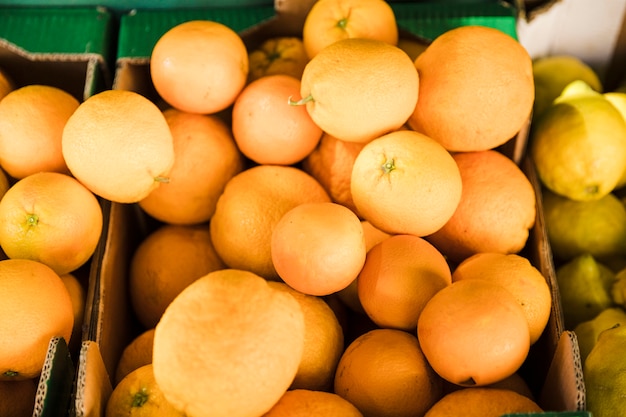 식료품 점 시장에서 수 분이 많은 오렌지의 오버 헤드보기