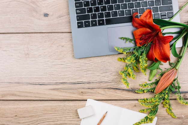 An overhead view of laptop; eraser; pencil; paper; goldenrods or solidago gigantea and lily flowers on wooden desk