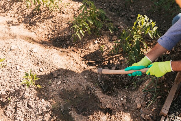 An overhead view of male gardener digging the soil with hoe