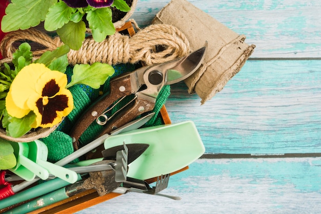 Foto gratuita una vista dall'alto delle piante viola del pensiero; pentole di torba e attrezzi da giardinaggio sulla scrivania