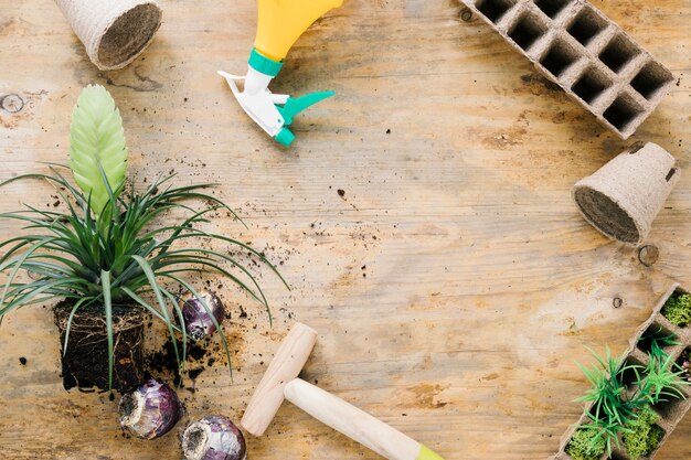 Overhead view of peat tray; peat pot; dibber; onion; plant with soil on brown wooden surface