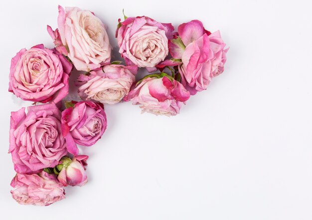 Overhead view of pink roses on white surface