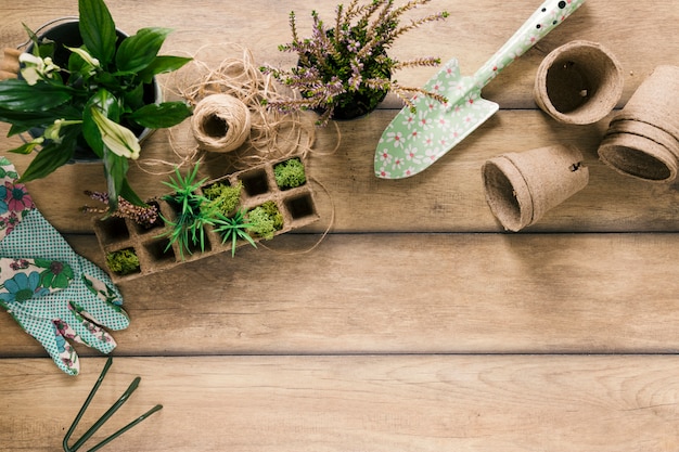 Вид сверху на растения в торфяном лотке; перчатки; showel; горшок с торфом; цветущее растение; грабли и нить на коричневом столе