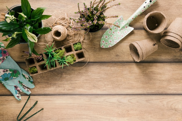 Overhead view of plants in peat tray; glove; showel; peat pot; flowering plant; rake and string on brown table