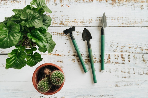 白い木製の机の上の園芸工具を持つ鉢植えの植物の俯瞰