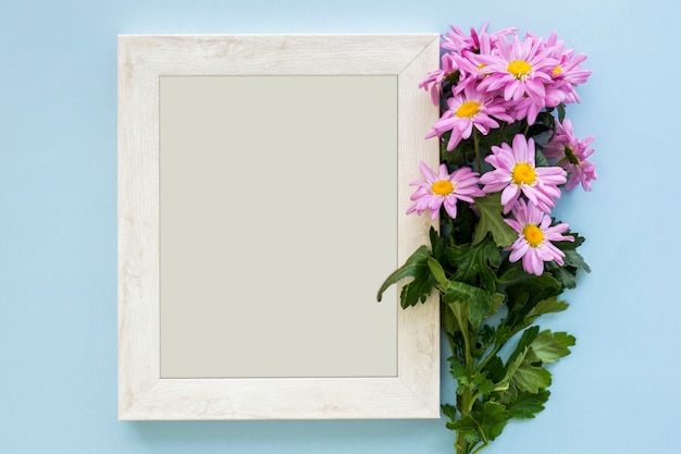 Overhead view of a purple marguerite daisy flowers and white picture frame on blue backdrop