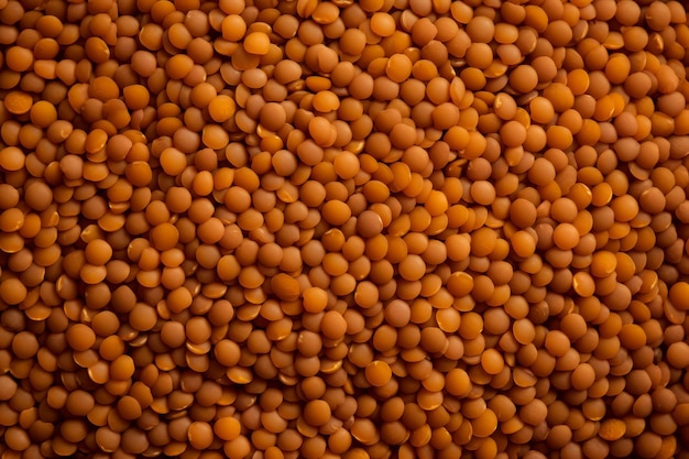 Free photo overhead view of red lentil beans