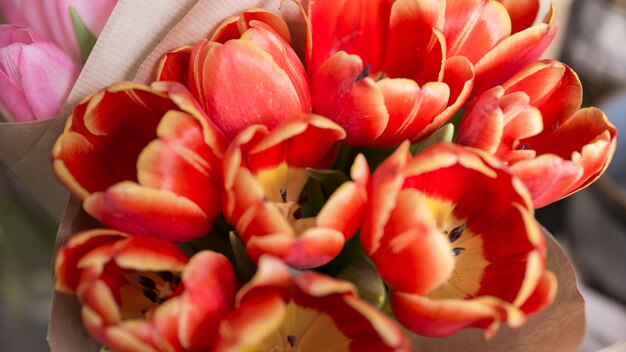 An overhead view of red tulip flowers