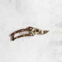 Free photo an overhead view of secateurs on white concrete backdrop