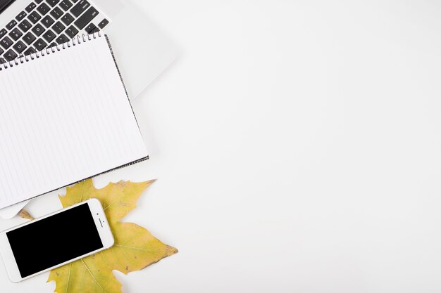 Overhead view of smartphone; notepad; leaf and laptop on white background