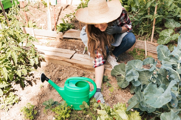 庭の植物に成長している新鮮なイチゴを保持している笑顔の女性の俯瞰