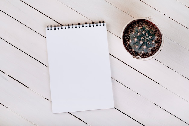 An overhead view of thorny succulent plant near the white blank spiral notepad on wooden surface