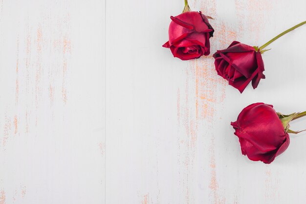 Overhead view of three red roses on grunge white background