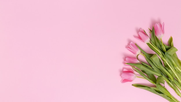 Overhead view of tulip flowers arranged on corner of pink surface