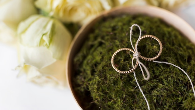 Free photo an overhead view of wedding rings on moss pot