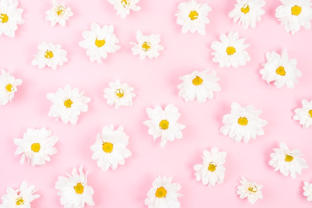 분홍색 배경에 흰 꽃 패턴의 오버 헤드보기